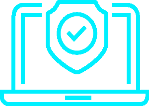 Vulnerability Assessments